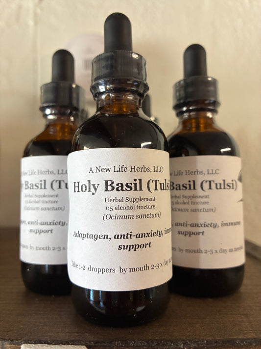 Holy Basil (Tulsi)