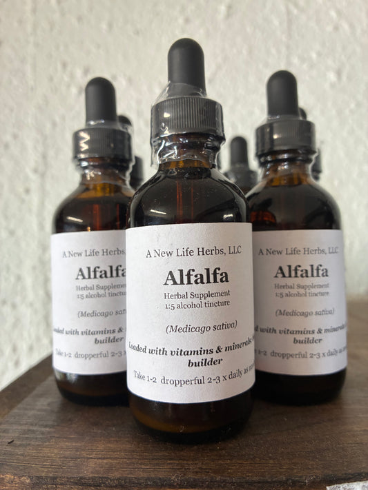 Alfalfa