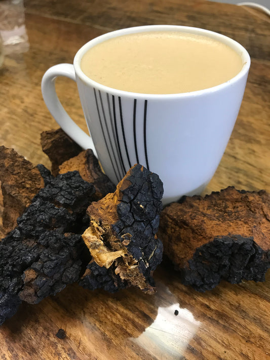 Chaga Tea